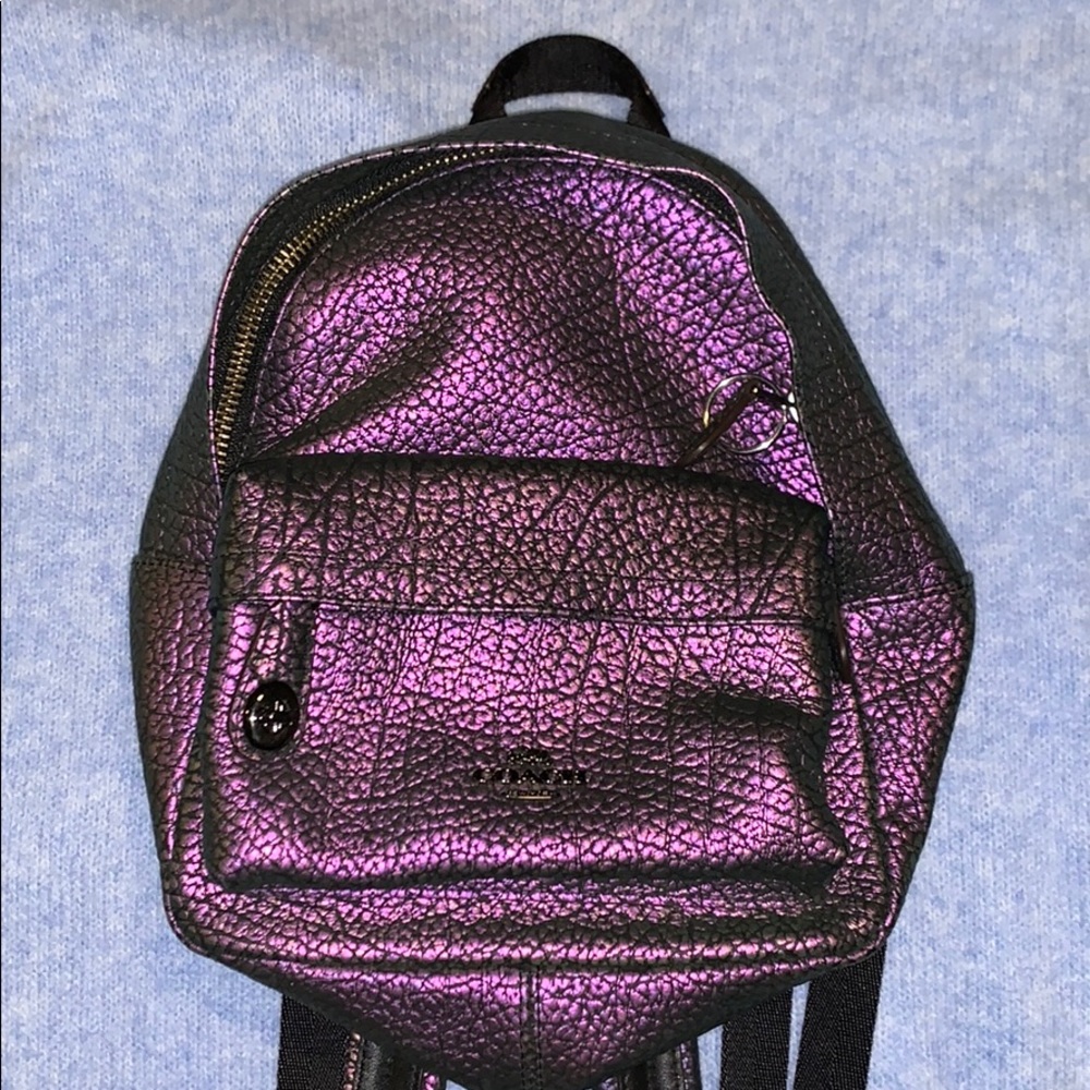 Coach mini back